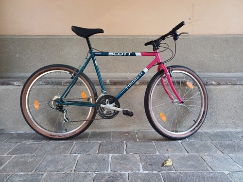 Bicicletta mountain bike - mountain,