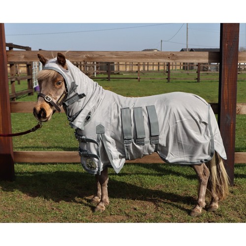 Ruggles shetland tappeto - ruggles,