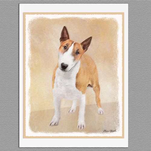 Miniature bull terrier dog - miniature,