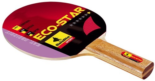 Racchetta ping pong eco - da,