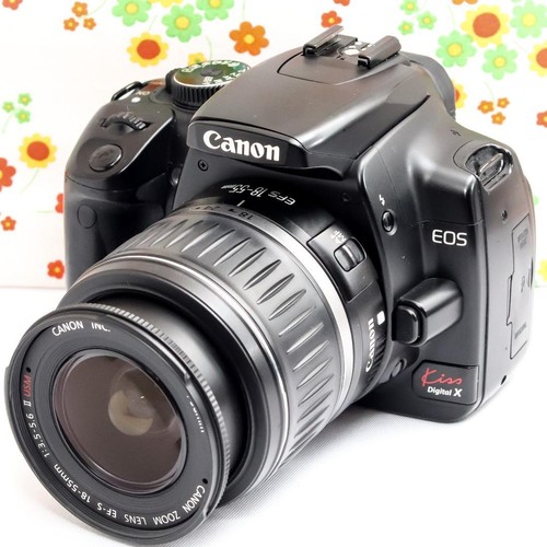 Canon eos kiss digital dslr - canon,