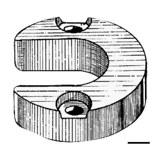 Osculati anodo magnesio piede - anodo,