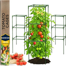 2 Pezzi Gabbie per Pomodori Da