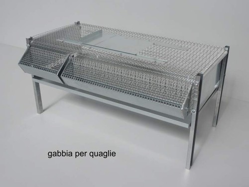 Gabbia per quaglie - , da