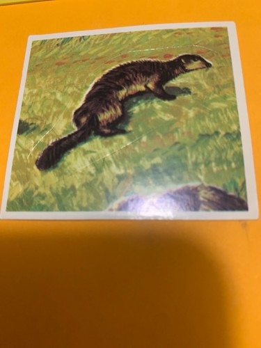Figurina 392 mondo degli - il,