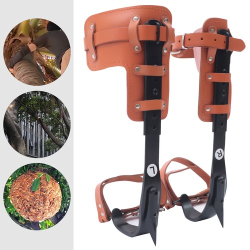 Set punte arrampicata - punte, albero