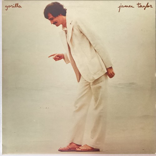 James taylor vinyl record - taylor,