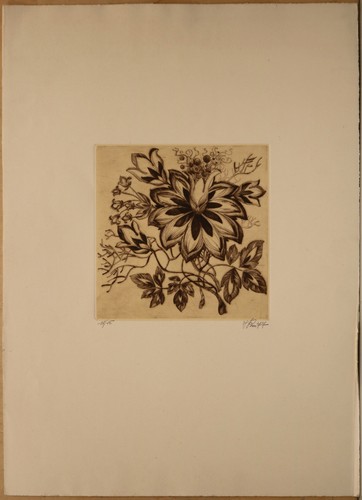 Angelo boni acquaforte fiori - acquaforte, "