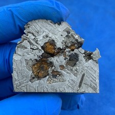 43,5 g Aletai ferro meteorite