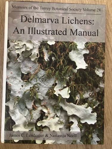 Delmarva lichens an - lichens, :