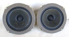 Coppia Altoparlanti Woofer