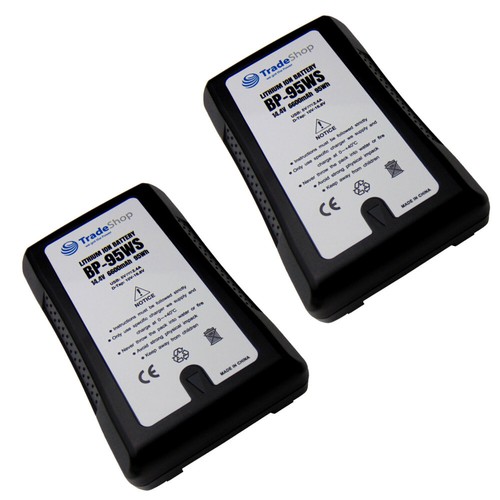 Batteria ion v - 2x, li-ion
