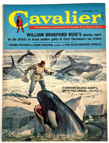 Killer whales attack - attack, man
