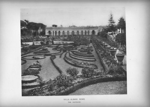 Grande stampa disegno - stampa,