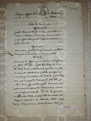H8733 documento antico 1867 - documento,