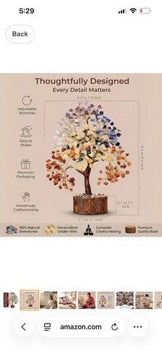Bonsai albero della vita - bonsai,