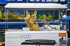 *NUOVO* GRANDE acquario