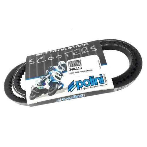 Mf0508 cinghia polini - mf0508,