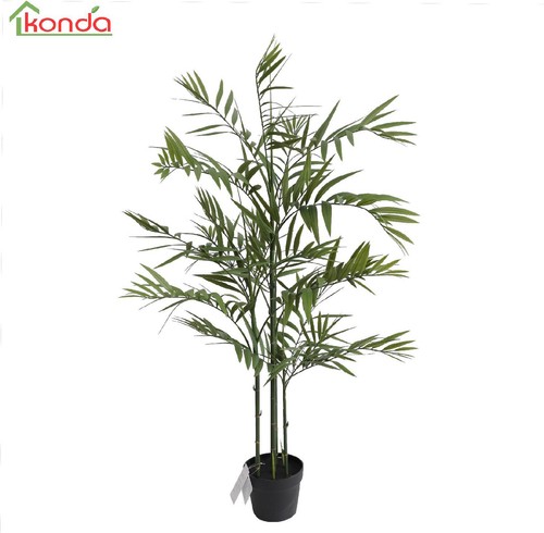 Dechome bambu pianta - bambu,