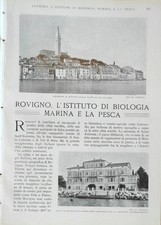 ROVIGNO, L'ISTITUTO DI