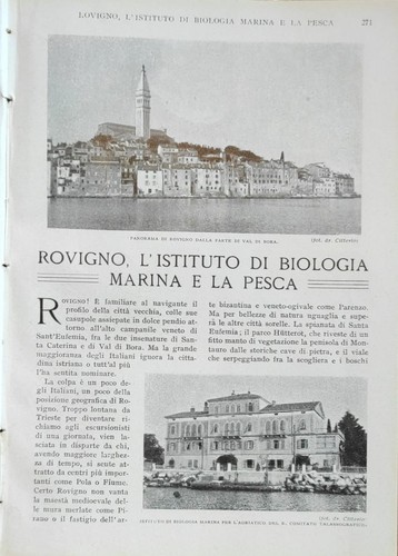 Rovigno istituto di - rovigno,, l'istituto