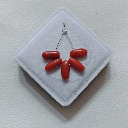 Autentico corallo rosso