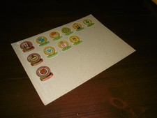 CARTONCINO CON SCUDETTI IMPERIA 8 DI SQUADRE ITALIANE 11 INTERNAZIONALI