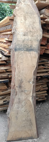 Tavola legno castagno ritaglio