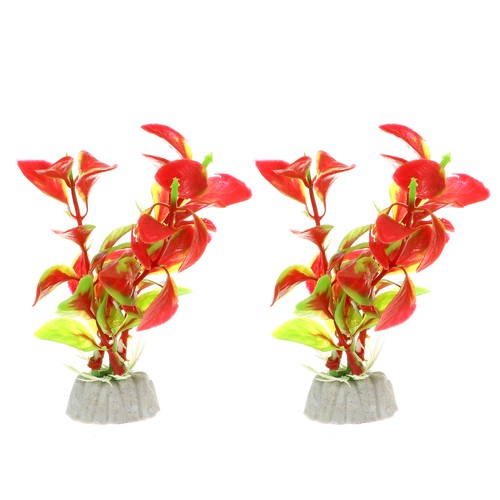 2pz acquario piante - 2pz,