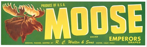 Genuine crate label - crate, box