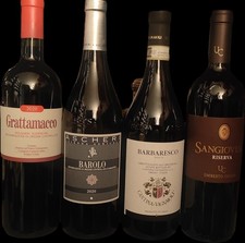 Bolgheri Superiore Barolo Barbaresco e Sangiovese