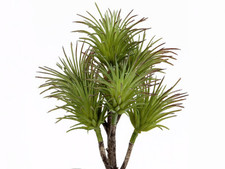 Ramo Di Cactus Finto