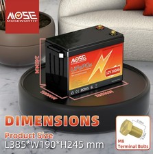 Batteria al litio 12V 300Ah - batteria LiFePO4, senza BMS