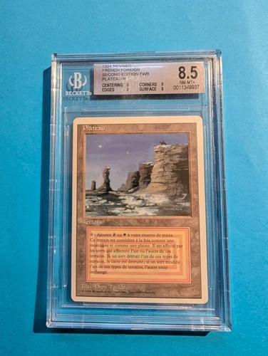 Plateau bgs french - plateau, 8.5
