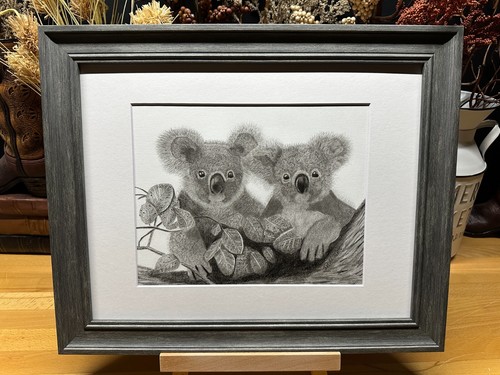Disegno orso koala - disegno, di