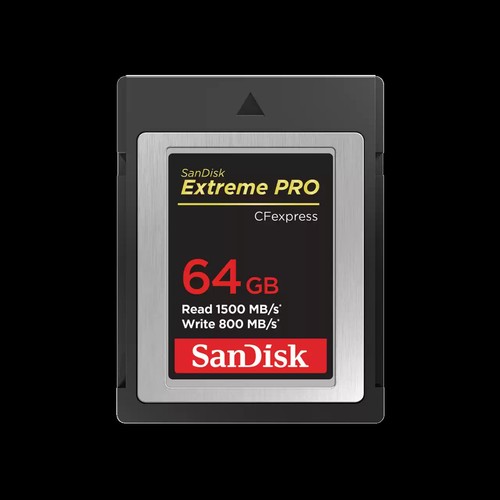 Scheda flash compatta sandisk - scheda,