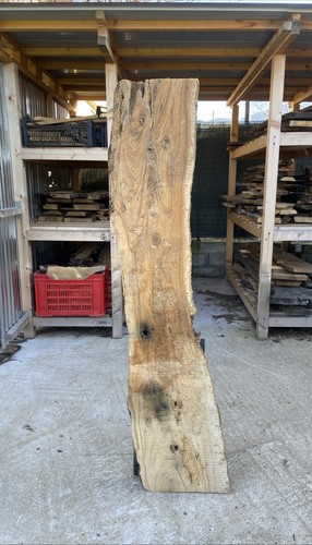 Tavola legno ulivo - legno, di