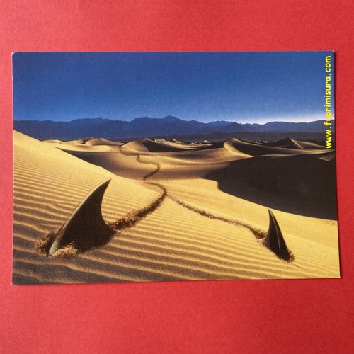 Pinne nel deserto - pinne,