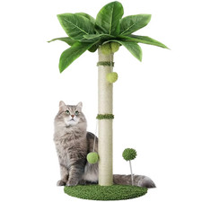 Pos Cat Scratch Puller for