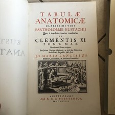(Anastatica) Bartolomeo Eustachio Anatomia - Tabulae Anatomicae Eustachii 1722