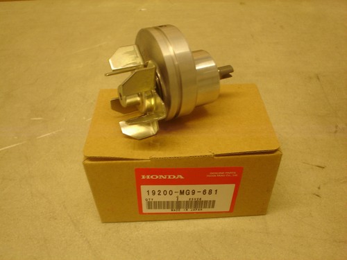 Honda oem gold - oem, gl