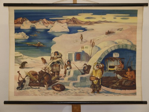 Eschimese igloo inuit - , narwal