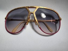 Occhiali da sole Alpina M1