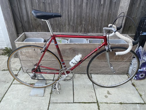 Bicicletta koga miyata - koga,