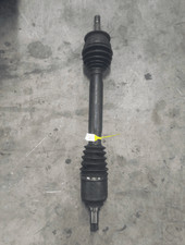 A1693607572 semialbero ant - semialbero,