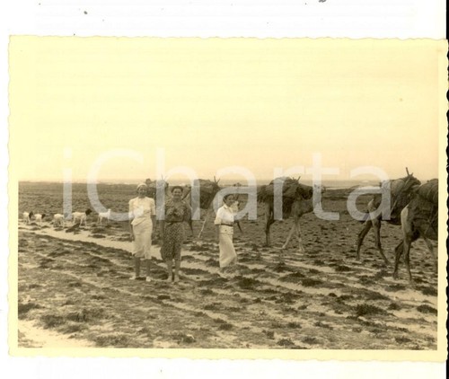1937 aoi somalia mogli - 1937, di