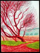 David Hockney Litografia COA