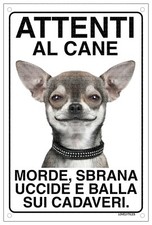 CHIHUAHUA Attenti al cane morde sbrana uccide e balla sui cadaveri 15x20