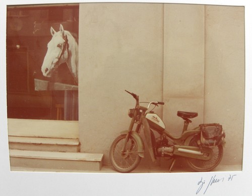 Luigi ghirri fellegara - luigi,