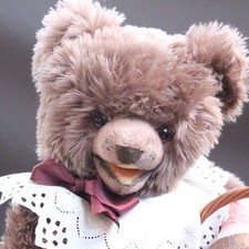 Vecchio orsacchiotto case in